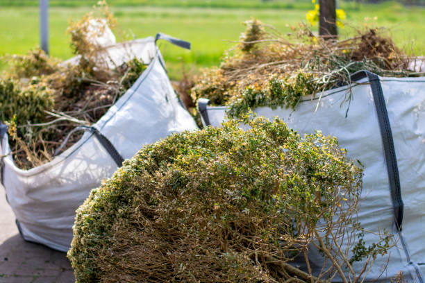 Best Office Junk Removal  in Swifton, AR